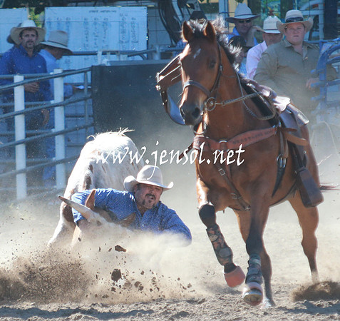 GundagaiRodeo_1188