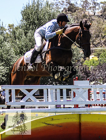 Tues1_Showjumping 141