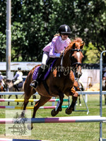 Tues1_Showjumping 006