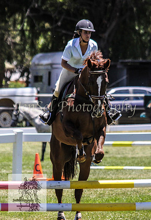 Tues1_Showjumping 018