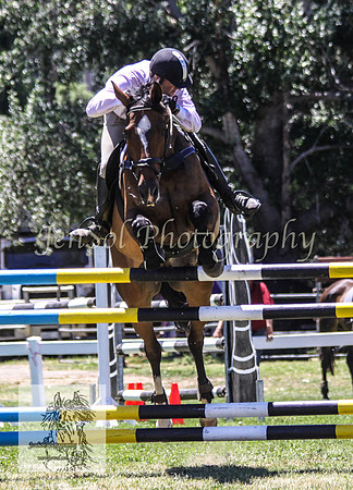 Tues1_Showjumping 132