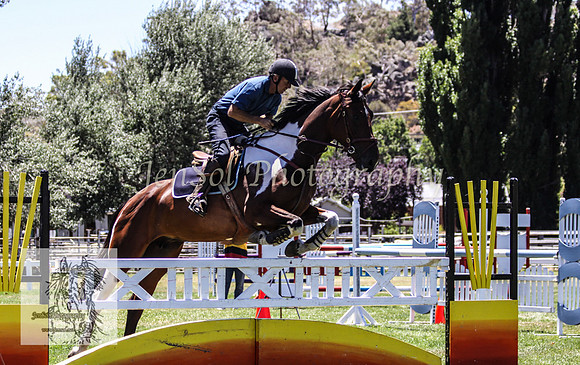 Tues1_Showjumping 101