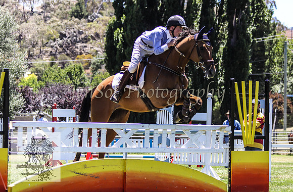 Tues1_Showjumping 033