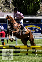Tues1_Showjumping 069
