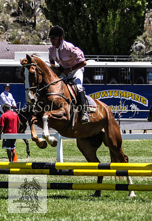 Tues1_Showjumping 069