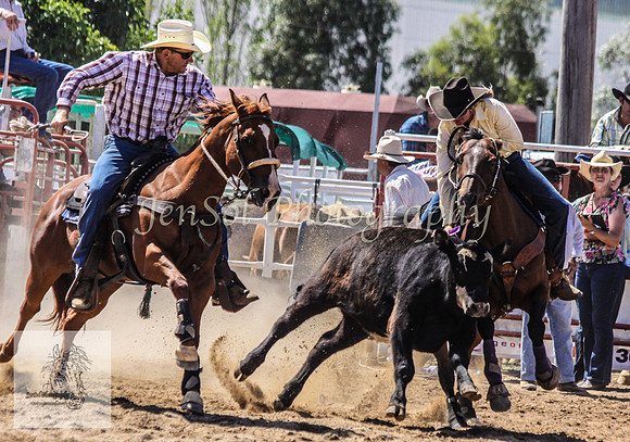 Goulburn 237