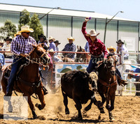 Goulburn 035