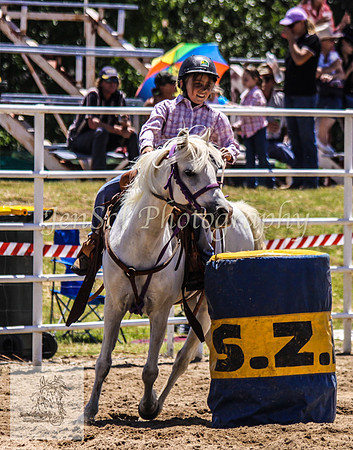 Goulburn 119