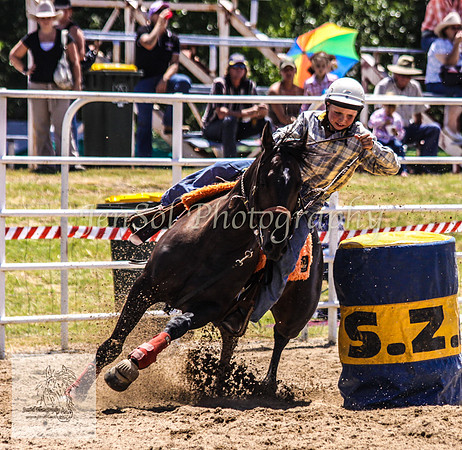 Goulburn 132