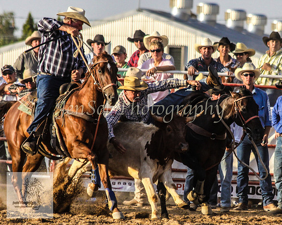 Goulburn 579