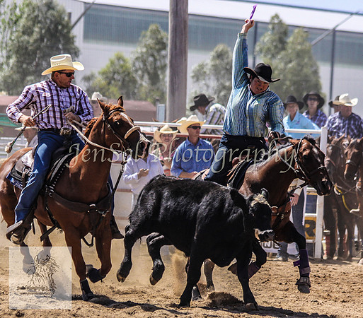 Goulburn 231