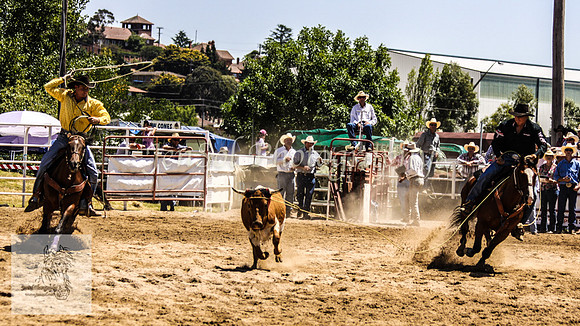 Goulburn 010