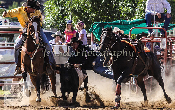 Goulburn 305