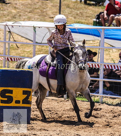 Goulburn 100