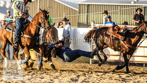 Goulburn 586