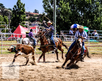 Goulburn 014