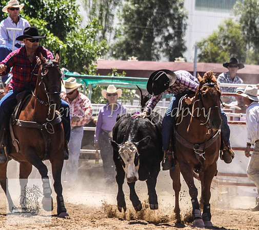Goulburn 150