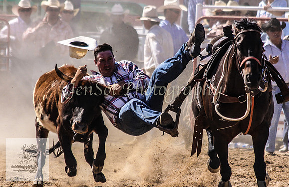 Goulburn 295