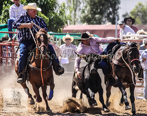 Goulburn 267