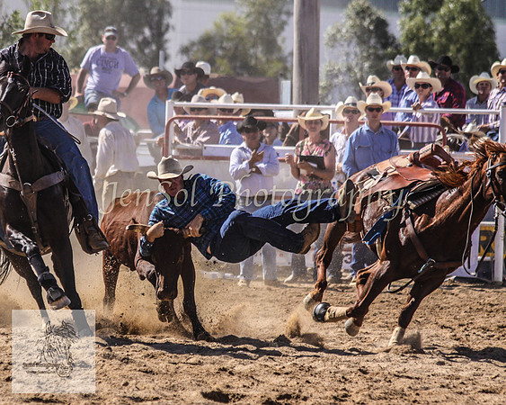 Goulburn 309