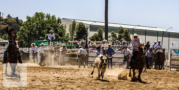 Goulburn 140