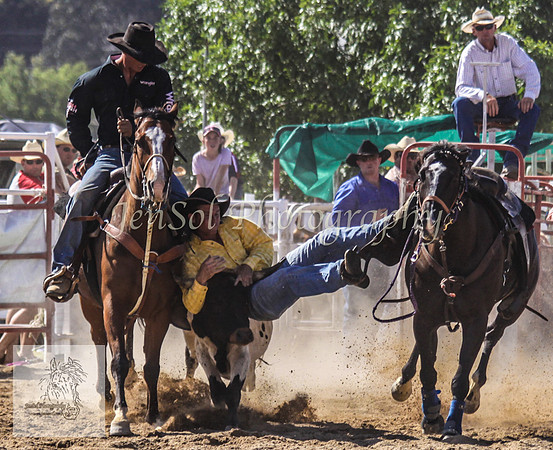 Goulburn 299