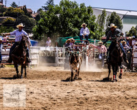 Goulburn 022