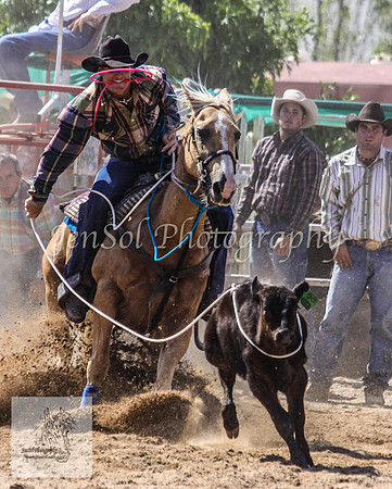Goulburn 260