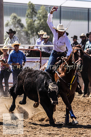 Goulburn 228