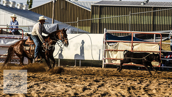 Goulburn 473