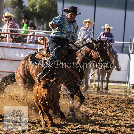 Goulburn 409