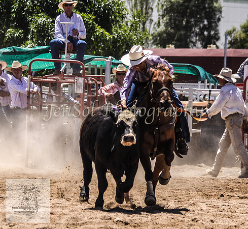 Goulburn 153