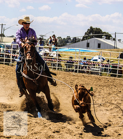 Goulburn 215