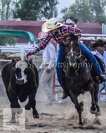 Goulburn 219