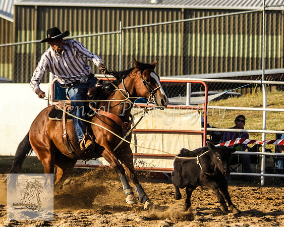 Goulburn 476