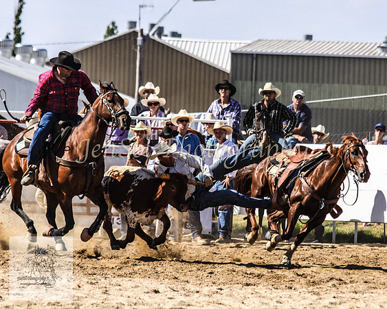 Goulburn 313