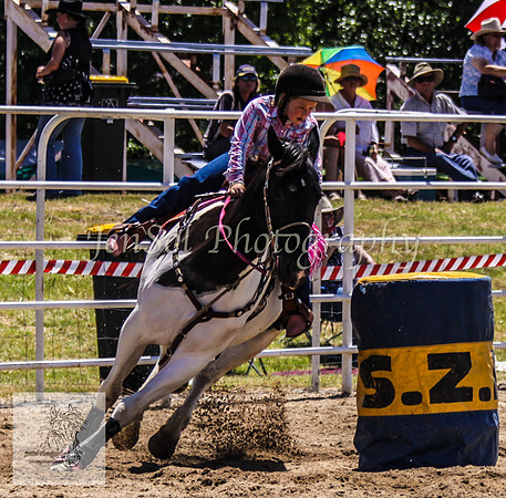 Goulburn 115