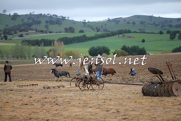 WooBack_0026