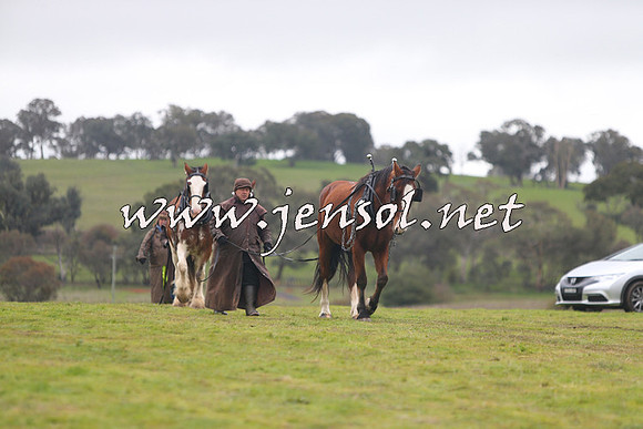 WooBack_0443