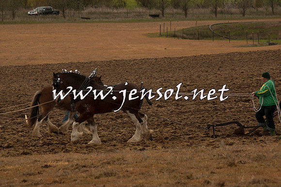 WooBack_0684