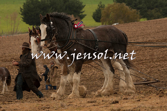 WooBack_0679