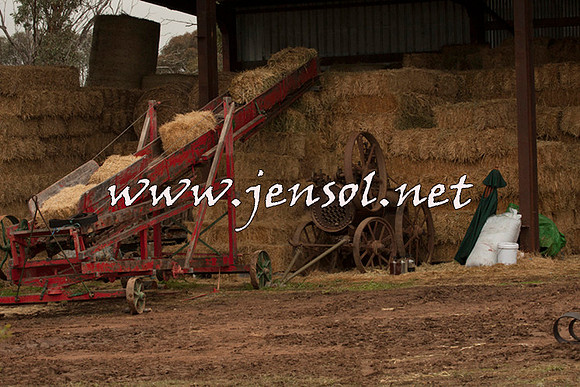 WooBack_0594
