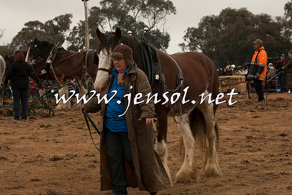 WooBack_0661