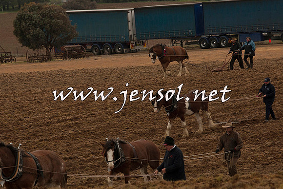 WooBack_0698
