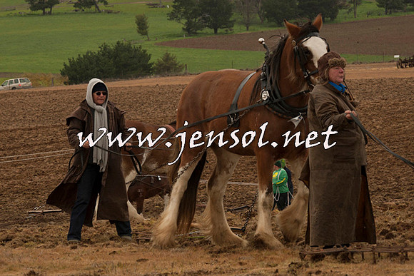 WooBack_0682