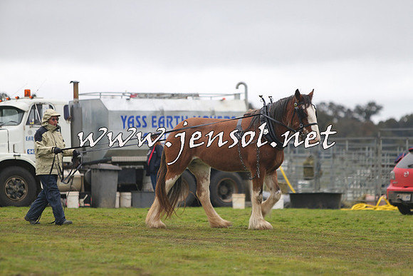 WooBack_0447