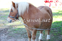 WooBack_0508