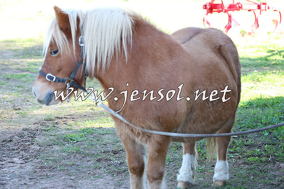 WooBack_0508