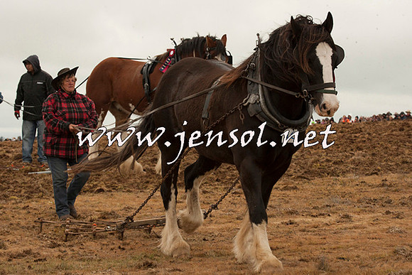 WooBack_0696