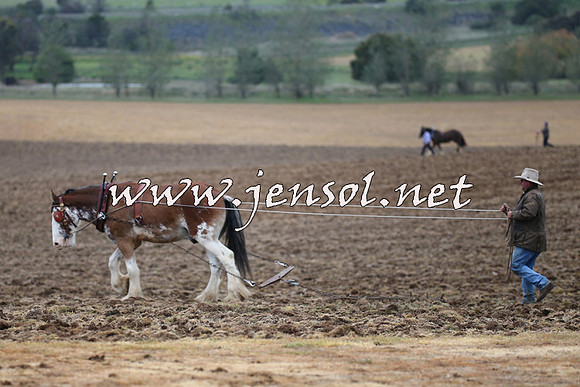 WooBack_0054
